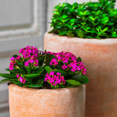 Photo of Campania Abrielle Planter - Terra Nova - Set of 2 - Exclusively Campania
